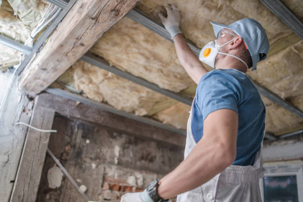 Best Geographic-Specific Insulation Services in Monongah, WV