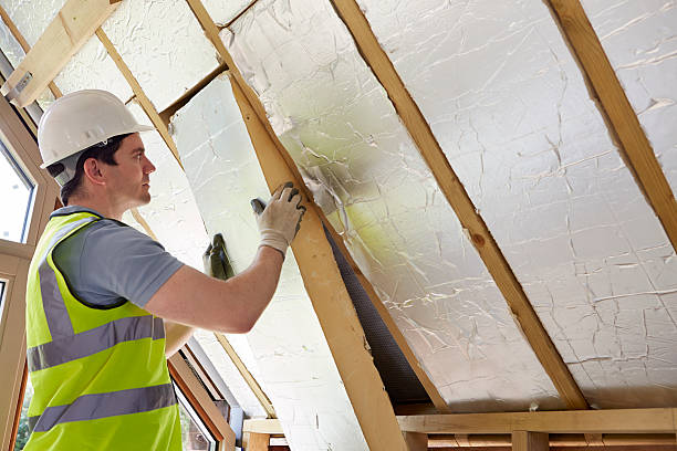 Best Specialized Insulation Services in Monongah, WV